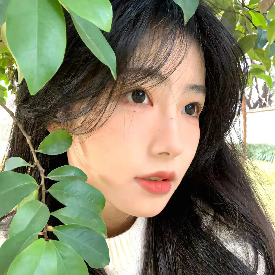 俏丽佳人封面